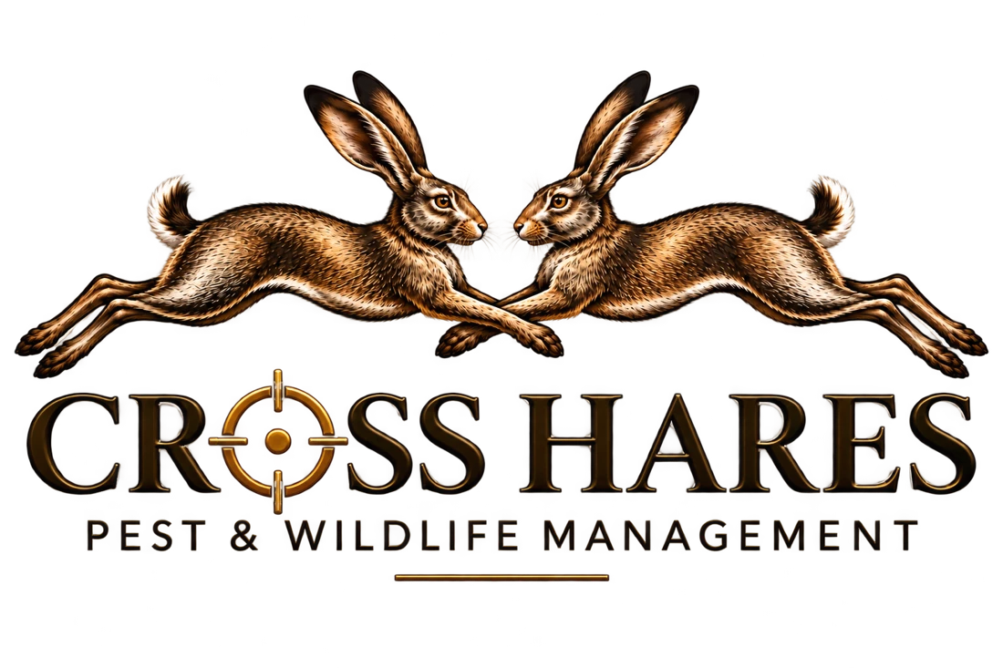 Cross Hares Pest & Wildlife Management company logo